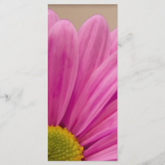 Pink Gerber Daisy Wedding Program Programm (Vorderseite)