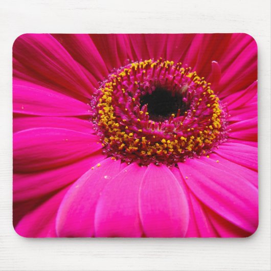 Pink gerber Gänseblümchen Mousepad (Vorne)