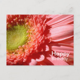 Pink Gerbera - Alles Gute zum Geburtstag Postkarte