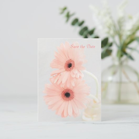 Pink Gerbera Ankündigung Datum freihalten Postkarte (Stehend Vorderseite)
