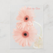 Pink Gerbera Ankündigung Datum freihalten Postkarte (Vorderseite)