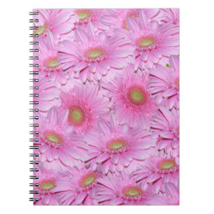 Pink Gerbera Blume Clusters, Notizblock