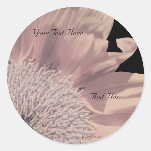 Pink Gerbera Custom Umschlag Aufklebers Runder Aufkleber (Vorderseite)