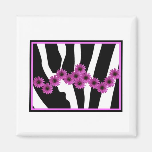 PINK GERBERA DAISIES AUF DEM DRUCK VON ZEBRA MAGNET (Vorne)