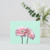 Pink Gerbera Daisies Postkarte (Stehend Vorderseite)