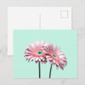 Pink Gerbera Daisies Postkarte (Vorne/Hinten)