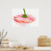 Pink Gerbera Daisy Blume Foto Poster (Küche)