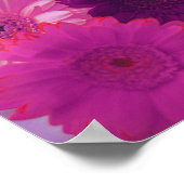 Pink Gerbera Daisy Blume Mauer Kunstdruckposter Poster (Ecke)