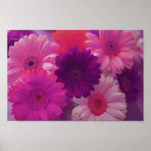 Pink Gerbera Daisy Blume Mauer Kunstdruckposter Poster