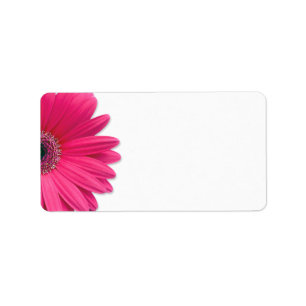 Pink Gerbera Daisy Blume Wedding Blank Address Adressaufkleber