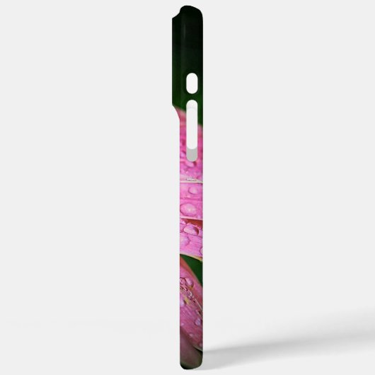 Pink Gerbera Daisy Case-Mate iPhone Case (Rückseite / Links)