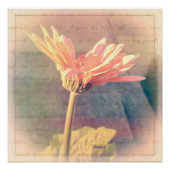 Pink Gerbera Daisy Collage Poster (Vorderseite)