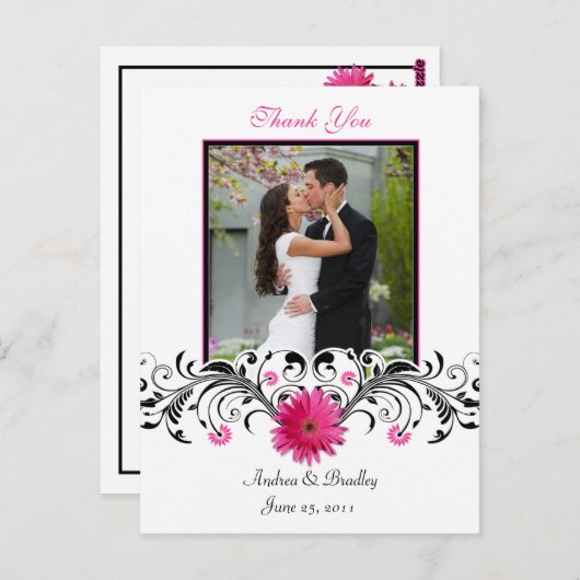 Pink Gerbera Daisy Danke, Postcard Postkarte (Vorne/Hinten)