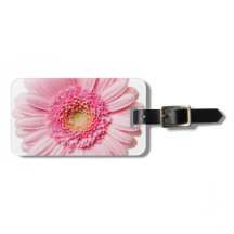 Pink Gerbera Daisy