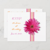 Pink Gerbera Daisy Kariert Ribbon UAWG Postkarte (Vorne/Hinten)