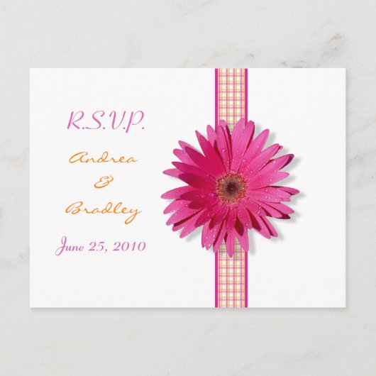 Pink Gerbera Daisy Kariert Ribbon UAWG Postkarte (Vorderseite)