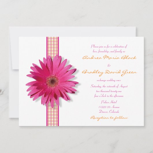 Pink Gerbera Daisy Kariert Ribbon Wedding Einladun Einladung (Vorderseite)