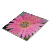 Pink Gerbera Daisy Keramik Tile Fliese (Seite)