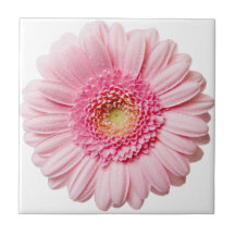 Pink Gerbera Daisy Keramik Tile