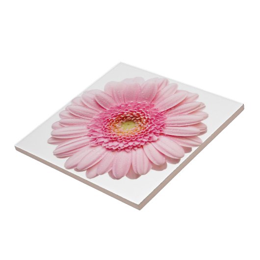 Pink Gerbera Daisy Keramik Tile Fliese (Seite)