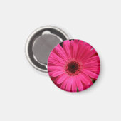 Pink Gerbera Daisy Magnet (Vorderseite/Rückseite)