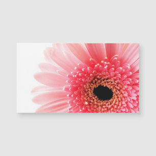 Pink Gerbera Daisy  Magnetkarte