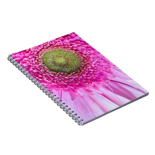 Pink Gerbera Daisy-Notebook Notizblock (Rechte Seite)