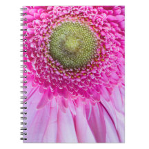 Pink Gerbera Daisy-Notebook