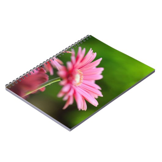 Pink Gerbera Daisy Notizblock (Linke Seite)