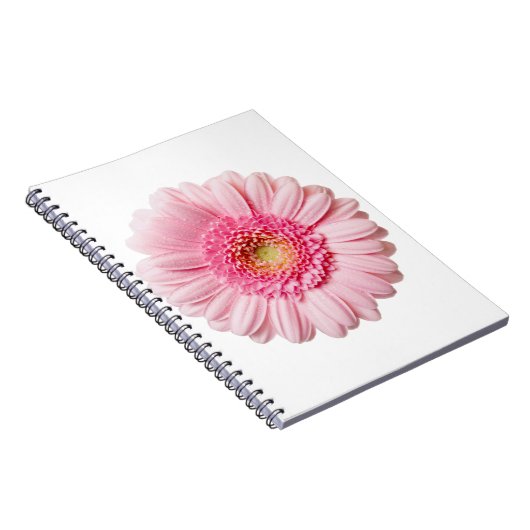 Pink Gerbera Daisy Notizblock (Rechte Seite)