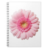 Pink Gerbera Daisy Notizblock (Vorderseite)