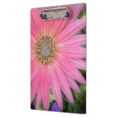 Pink Gerbera Daisy Office-Zwischenablage Klemmbrett (Links)