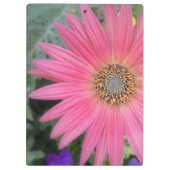 Pink Gerbera Daisy Office-Zwischenablage Klemmbrett (Rückseite)