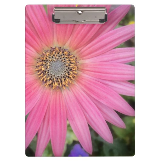 Pink Gerbera Daisy Office-Zwischenablage Klemmbrett (Vorderseite)