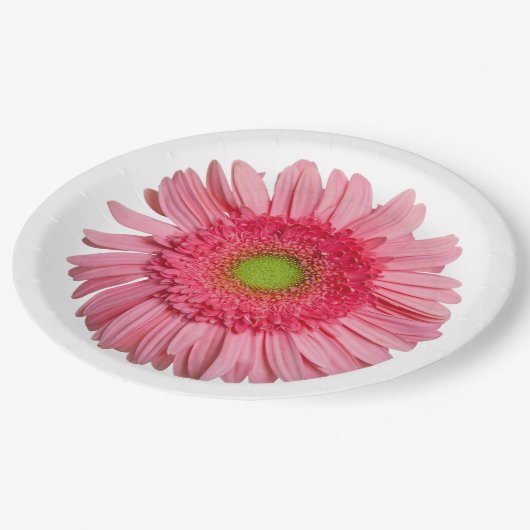 Pink Gerbera Daisy Pappteller (Schrägansicht)
