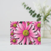 Pink Gerbera Daisy Postcard Postkarte (Stehend Vorderseite)
