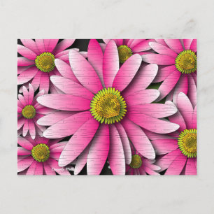 Pink Gerbera Daisy Postcard Postkarte