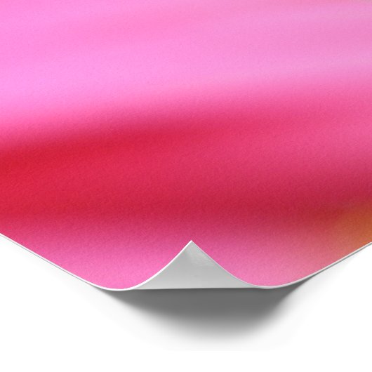 Pink Gerbera Daisy Poster Print (Ecke)