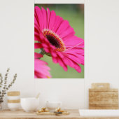 Pink Gerbera Daisy Poster Print (Küche)