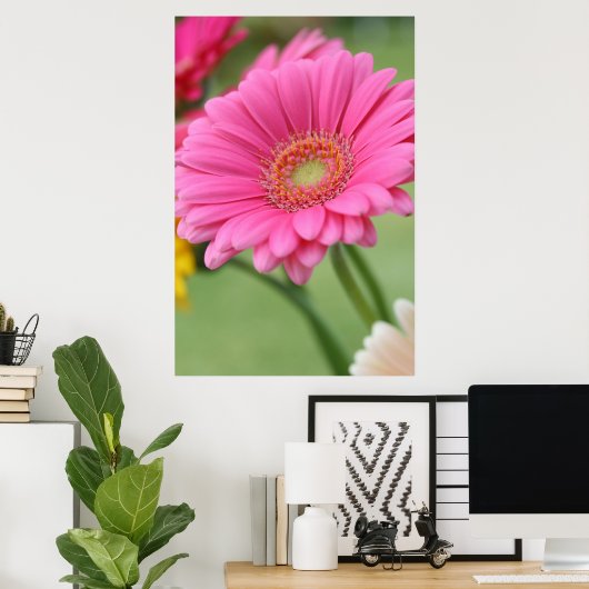 Pink Gerbera Daisy Poster Print (Heimbüro)