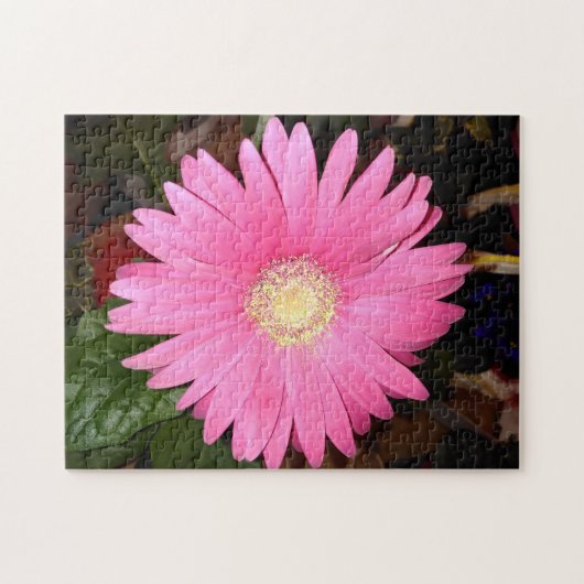 Pink Gerbera Daisy Puzzle (Horizontal)