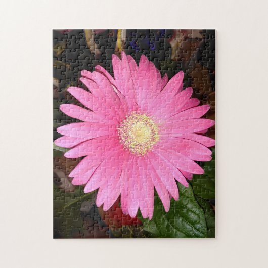 Pink Gerbera Daisy Puzzle (Vertikal)