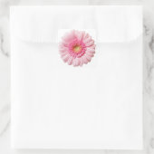 Pink Gerbera Daisy Quadratischer Aufkleber (Tasche)