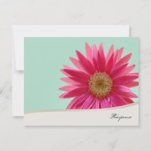 Pink Gerbera Daisy RSVP Karte (Rückseite)