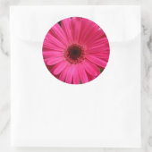Pink Gerbera Daisy Runder Aufkleber (Tasche)