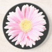 Pink Gerbera Daisy Sandstone Untersetzer (Vorne)