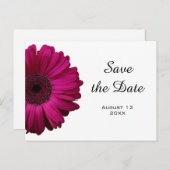 Pink Gerbera Daisy Save the Date Postcard Ankündigungspostkarte (Vorne/Hinten)