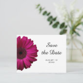 Pink Gerbera Daisy Save the Date Postcard Ankündigungspostkarte (Stehend Vorderseite)