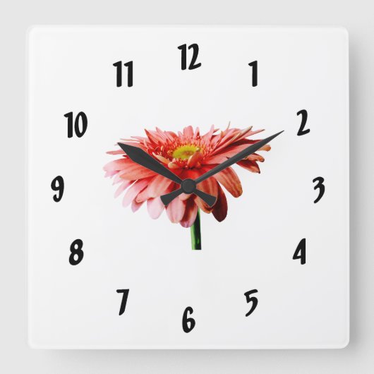 Pink Gerbera Daisy Side View Quadratische Wanduhr (Vorderseite)