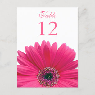 Pink Gerbera Daisy Table Number Card Postkarte